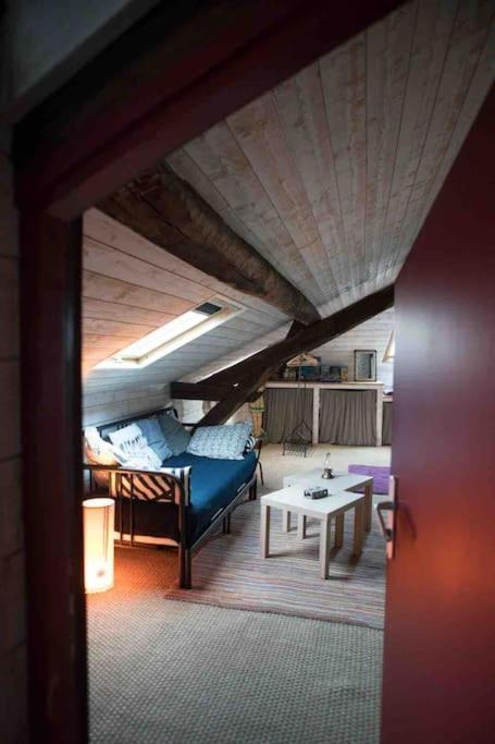 Loft Dans Le Centre Historique Apartment *